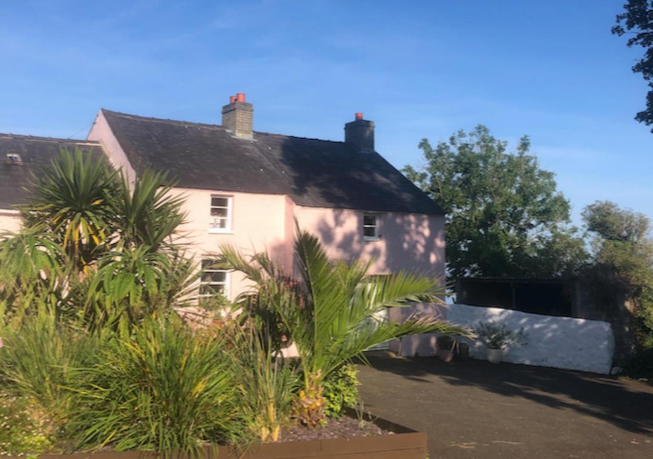 The Pink Cottage Upstairs Suite & Garden Summer Room Whitehead Exterior photo