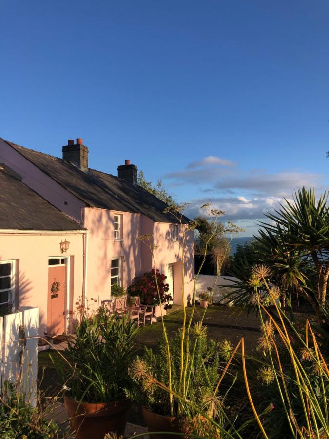 The Pink Cottage Upstairs Suite & Garden Summer Room Whitehead Exterior photo