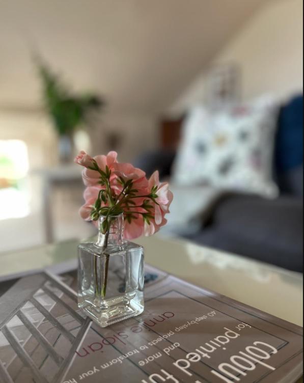 The Pink Cottage Upstairs Suite & Garden Summer Room Whitehead Exterior photo
