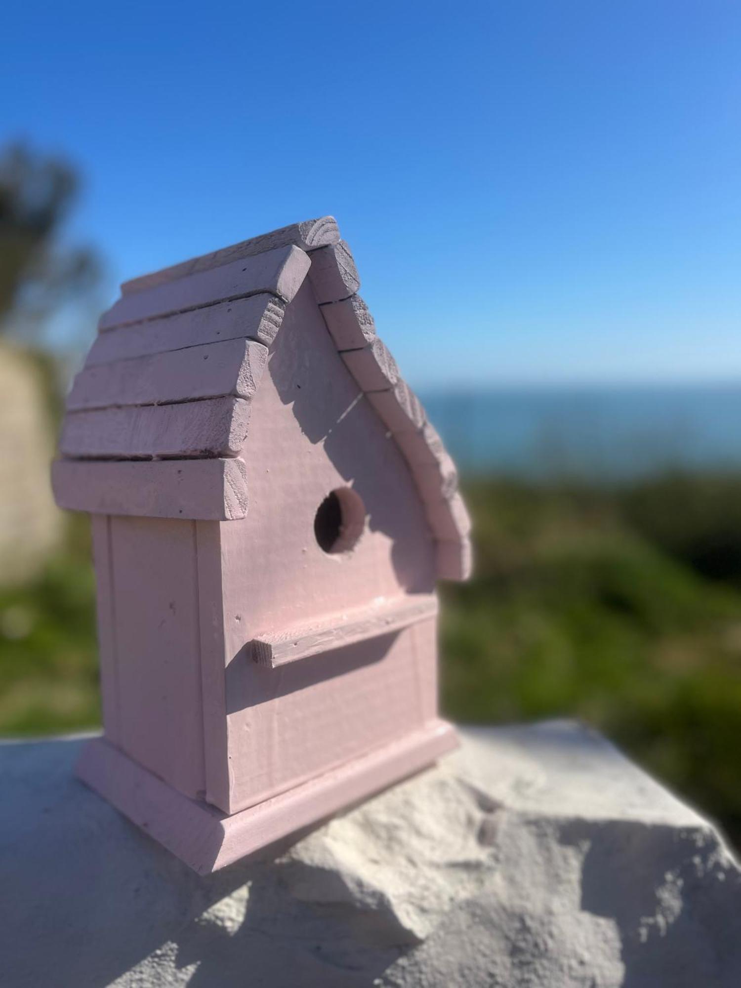 The Pink Cottage Upstairs Suite & Garden Summer Room Whitehead Exterior photo